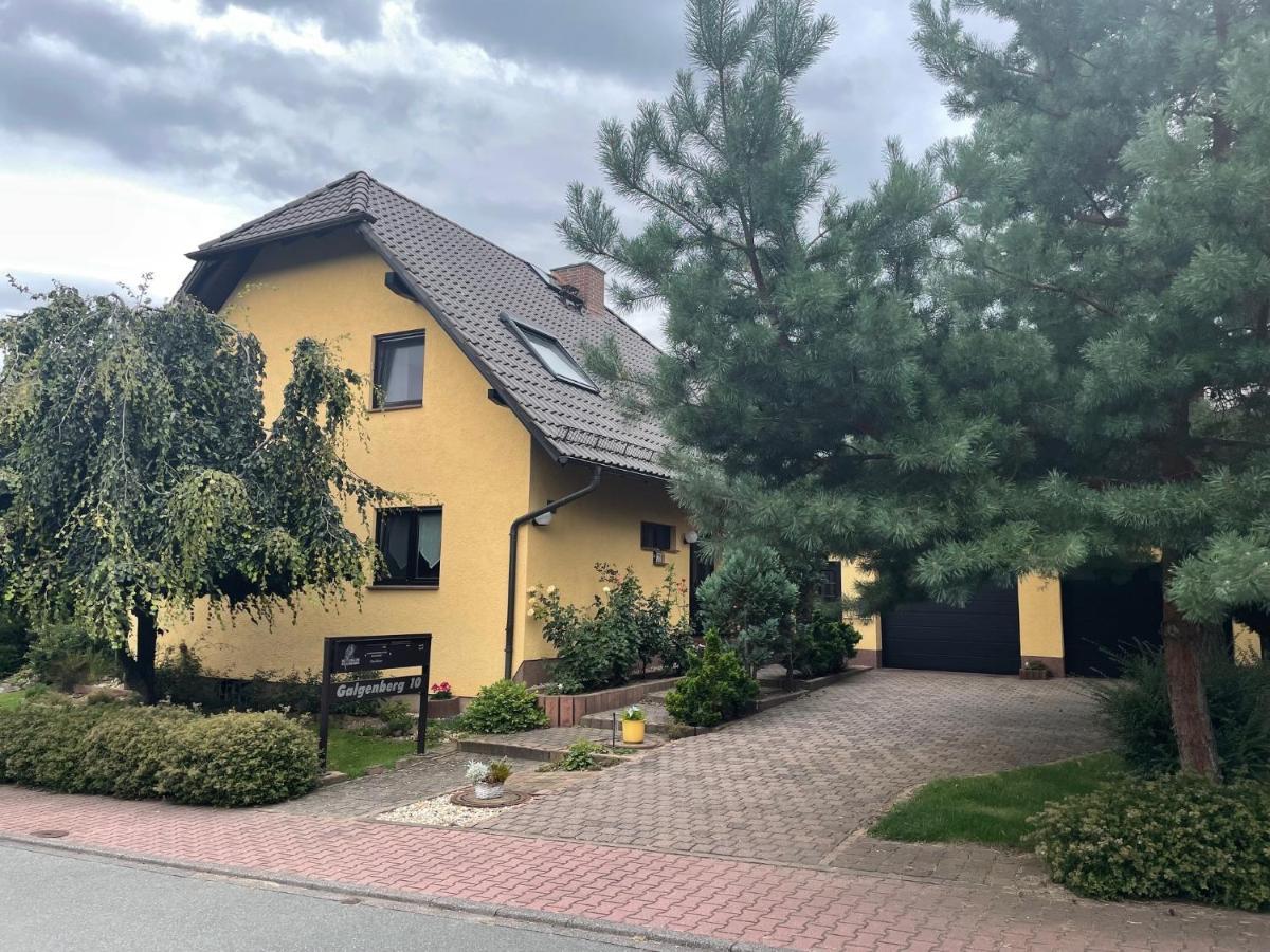 Ferienwohnung Geyer Grafenhainichen Exteriör bild